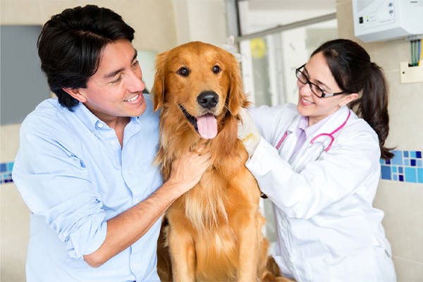 https://tower.thetop10petinsurance.com/wp-content/uploads/2021/11/Dog-at-the-vet-with-his-owner-and-the-doctor.jpg