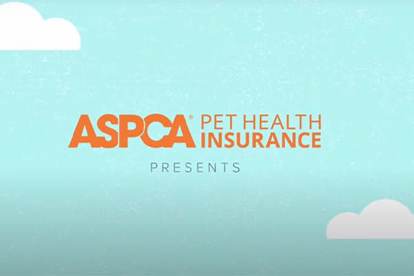 Cover-img-for-aspca-review