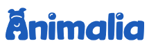 Animalia-logo