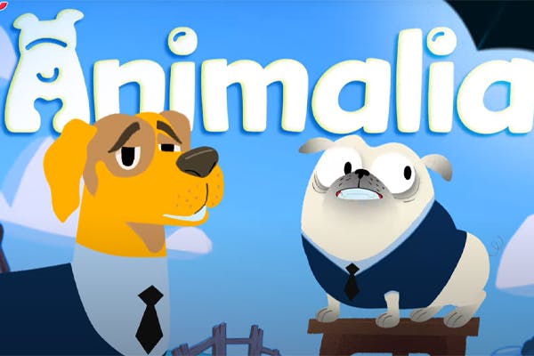 Cover-img-for-animalia-review-video