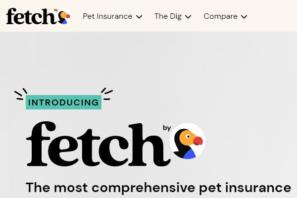 Img-for-fetch-review